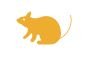 rat icon