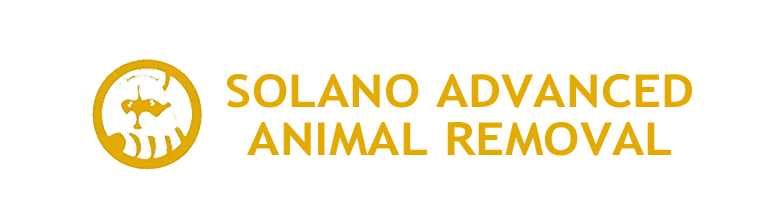 vacaville wildlife removal